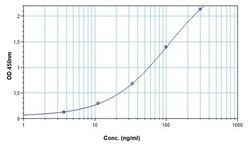 Abcam Rituximab ELISA Kit, 96TEST, Quantity: Each of 1