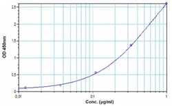 Abcam Omalizumab ELISA Kit, 1 x 96 Tests, Quantity: Each of 1