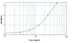 Abcam anti-HER2 mab ELISA Kit, 96TEST, Quantity: Each of 1