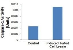 Abcam Caspase-1 Assay Kit (Colorimetric), Quantity: Each of 1