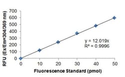 Abcam 3' to 5' Exonuclease Activity Assay Kit (Fluorometric)¿, Quantity: