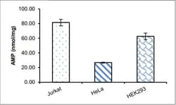 Abcam AMP Assay Kit (Colorimetric), Quantity: Each of 1