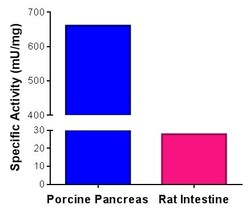 Abcam Secretory Phospholipase A2 Activity Assay Kit (Fluorometric), Quantity: