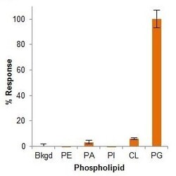 Abcam Phosphatidylglycerol Assay Kit (Fluorometric), Quantity: Each of