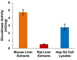 Abcam Glucokinase Activity Assay Kit (Fluorometric), Quantity: Each of