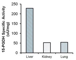 Abcam&nbsp;15-PGDH Activity Assay Kit (Fluorometric)