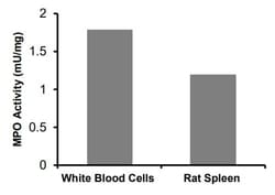 Abcam Myeloperoxidase (MPO) Peroxidation Activity Assay Kit¿(Fluorometric)¿,