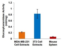Abcam&nbsp;Glucosylceramidase Activity Assay Kit (Fluorometric)