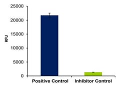 Abcam HDAC Inhibitor Drug Screening Kit (Fluorometric), Quantity: Each