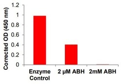 Abcam Liver Arginase (ARG1) Inhibitor Screening Kit (Colorimetric)