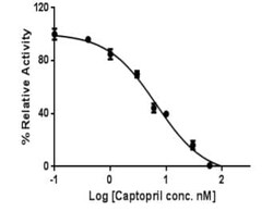 Abcam&nbsp;Angiotensin Converting Enzyme 1 (ACE1) Inhibitor Screening Kit (Colorimetric)