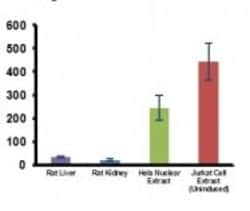 Abcam HDAC6 Activity Assay Kit (Fluorometric), Quantity: Each of 1