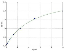Abcam Human Cathepsin G ELISA Kit, 96TEST, Quantity: Each of 1