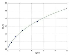 Abcam Mouse Aspartate Aminotransferase ELISA Kit, 96TEST, Quantity: Each
