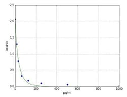 Abcam Estrogen ELISA Kit, 96TEST, Quantity: Each of 1