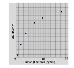 Abcam Human Beta catenin ELISA Kit, 96TEST, Quantity: Each of 1