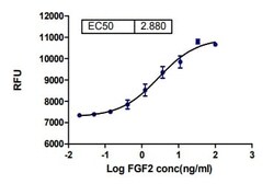 Abcam Recombinant human FGF2 protein (Active), 50UG, Quantity: Each of