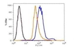 Abcam 2-NBDG Glucose Uptake Assay Kit, Quantity: Each of 1
