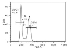 Abcam Cell Cycle Analysis Kit, Quantity: Each of 1