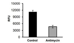 Abcam Mitochondria Isolation Kit For Tissue and Cultured Cells, Quantity: