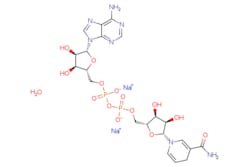 eMolecules​ Beta-nicotinamide adenine dinucleotide disodium salt hydrate,