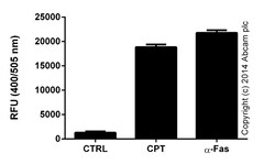 Abcam Caspase-3 Assay Kit (Fluorometric)
