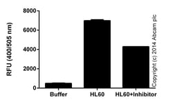 Abcam Cathepsin B Activity Assay Kit (Fluorometric), Quantity: Each of