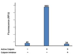 Abcam&nbsp;Calpain Activity Assay Kit