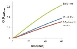 Abcam&nbsp;Amylase Assay Kit (Colorimetric)