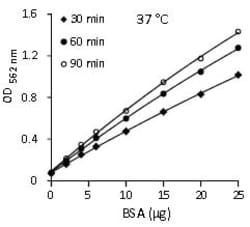 Abcam BCA Protein Assay¿Kit