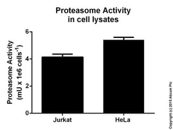 Abcam Proteasome Activity Assay Kit, Quantity: Each of 1