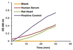 Abcam Creatine Kinase Activity Assay Kit (Colorimetric)