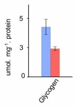 Abcam Glycogen Assay Kit II (Colorimetric), Quantity: Each of 1