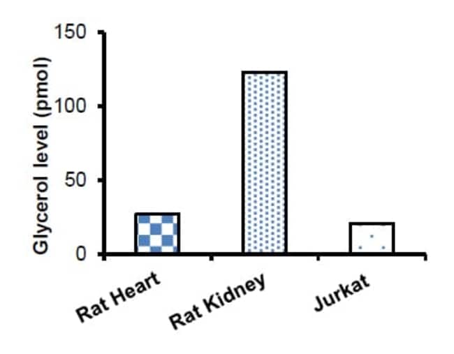 Abcam Free Glycerol Assay Kit (Fluorometric, High Sensitivity) 100test