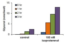 Abcam&nbsp;Lipolysis Assay Kit (Colorimetric)
