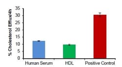 Abcam Cholesterol Efflux Assay Kit (Cell-based), Quantity: Each of 1
