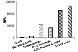 Abcam LDH-Cytotoxicity Assay Kit (Fluorometric), Quantity: Each of 1