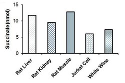 Abcam Succinate Assay Kit (Colorimetric), Quantity: Each of 1