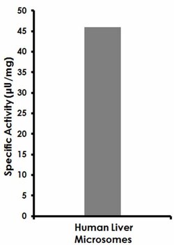 Abcam CYP3A4 Activity Assay Kit (Fluorometric), Quantity: Each of 1