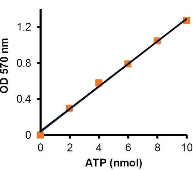 Abcam AK1 Activity Assay Kit (Colorimetric/Fluorometric) 100test