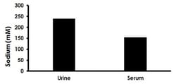 Abcam&nbsp;Sodium Assay Kit (Colorimetric)