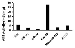 Abcam Aldo-Keto Reductase (AKR) Activity Assay Kit (Colorimetric), Quantity:
