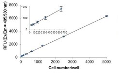 Abcam Calcein AM Assay Kit (Fluorometric), Quantity: Each of 1