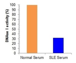 Abcam DNase I Assay Kit (Fluorometric), Quantity: Each of 1