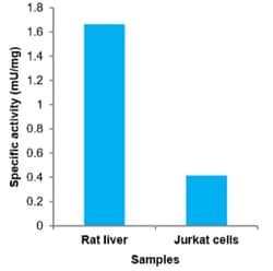 Abcam&nbsp;Leucine Aminopeptidase (LAP) Activity Assay Kit (Fluorometric)