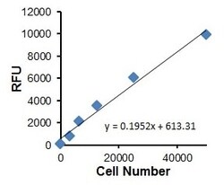 Abcam Cell Migration/Chemotaxis Assay Kit (96-well, 5 ¿m), Quantity: Each
