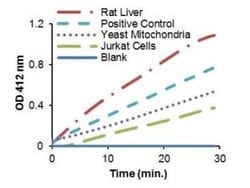 Abcam Citrate Synthase Assay Kit, Quantity: Each of 1