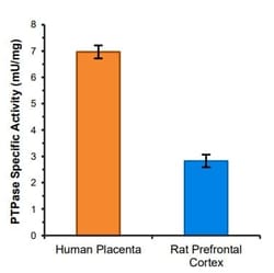 Abcam&nbsp;Protein Tyrosine Phosphatase Assay Kit