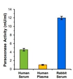 Abcam&nbsp;Paraoxonase 1 Activity Assay Kit
