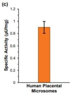 Abcam&nbsp;Aromatase (CYP19A) Activity Assay Kit (Fluorometric)